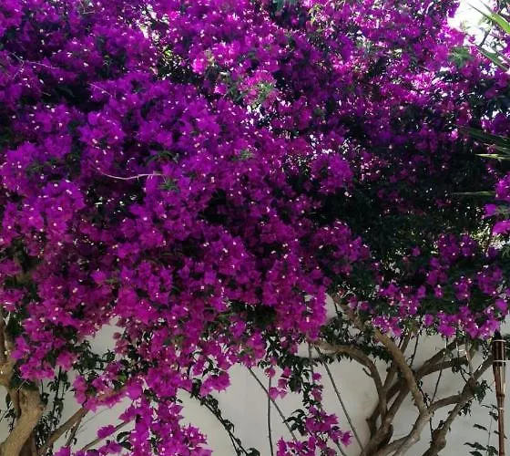 Ada * Torre Specchia Ruggeri