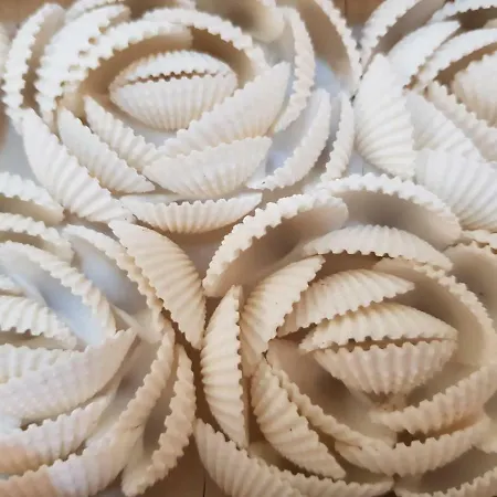 Ada Torre Specchia Ruggeri