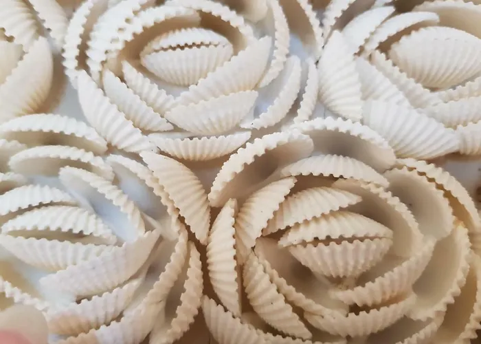 Ada Torre Specchia Ruggeri